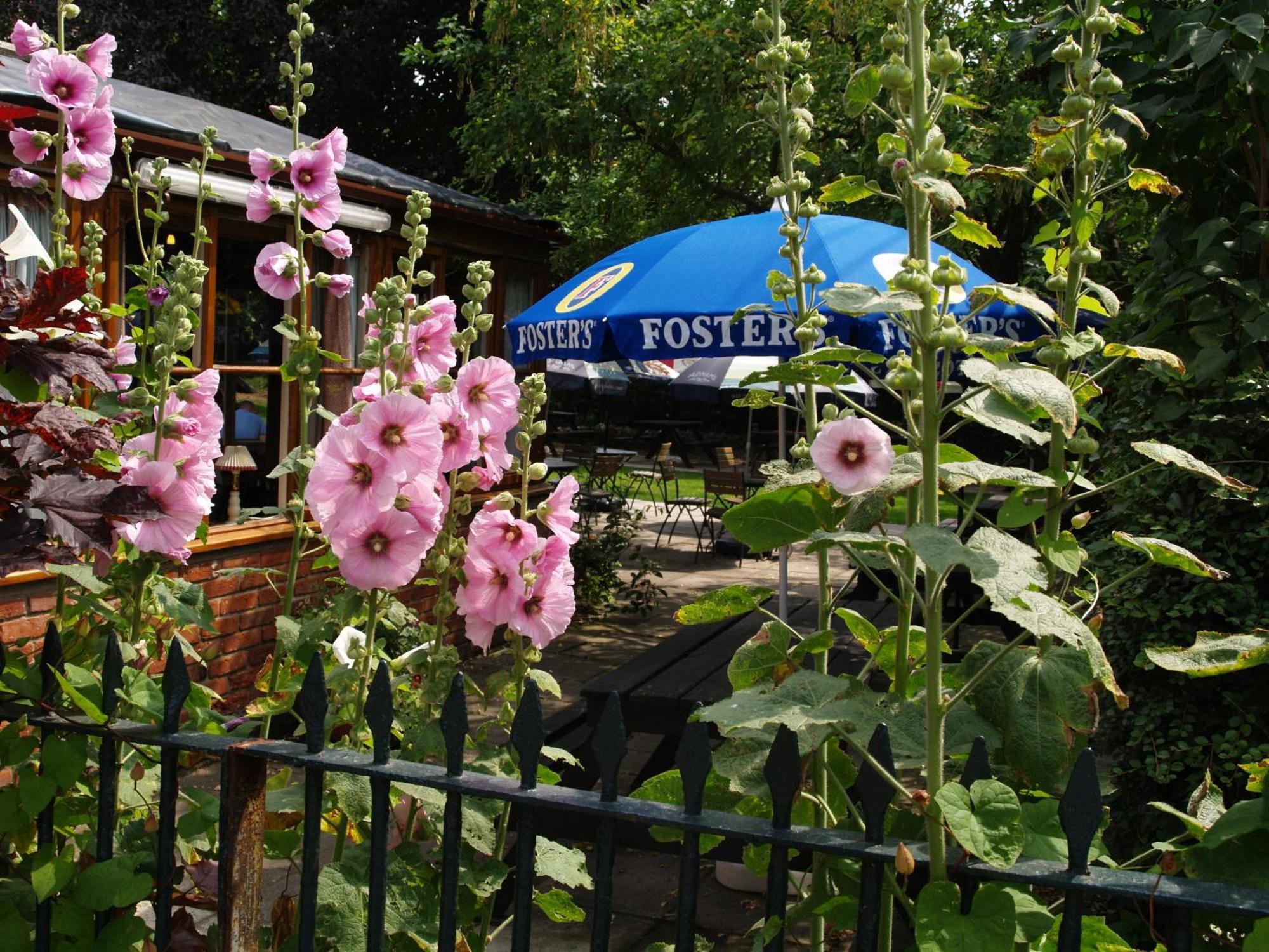 The Olde Windmill Inn Great Cressingham Extérieur photo